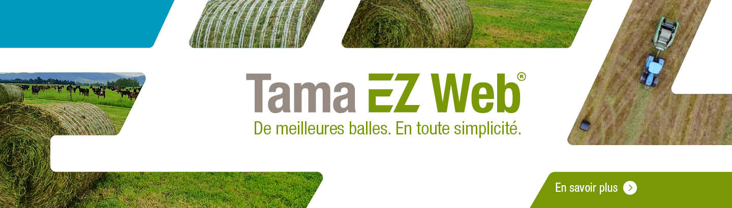 EZ Web banner