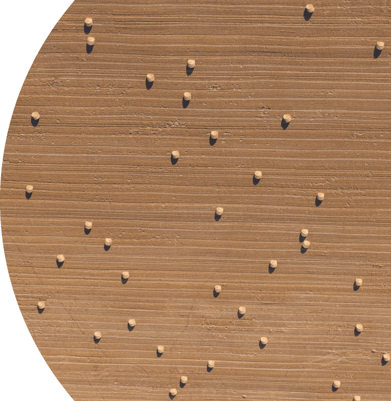 Hay field with round bales