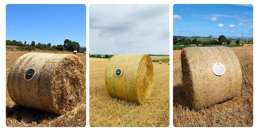 champions pressage médaille tama