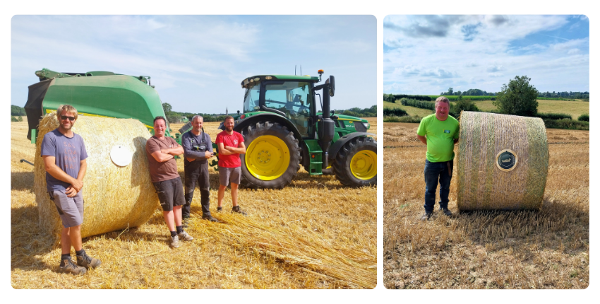 champions pressage médaille tama