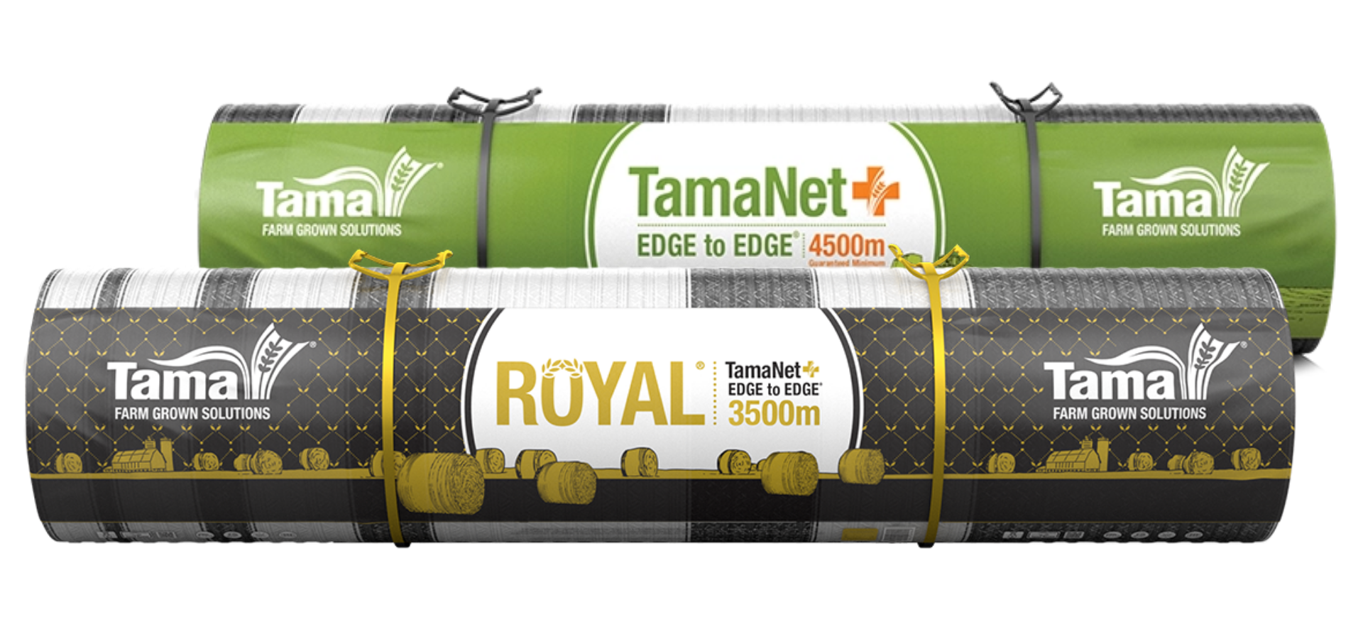 filet tama royal tamanet